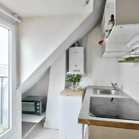 With Balcony Under The Roofs Of Paris