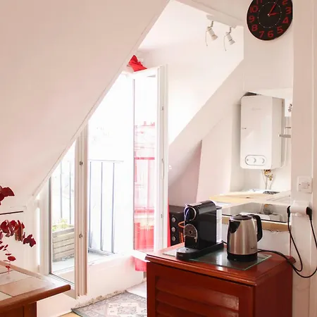 With Balcony Under The Roofs Of Apartment Paris