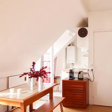 Apartment With Balcony Under The Roofs Of Paris
